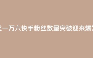 快手粉丝一万六(快手粉丝数量突破16K,迎来爆发式增长)