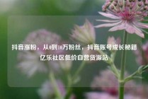 抖音涨粉，从0到10万粉丝，抖音账号成长秘籍亿乐社区低价自营货源站
