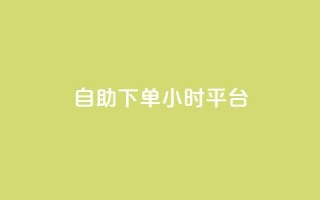 自助下单24小时平台 - 24小时自助下单平台:简便操作,全天候服务!