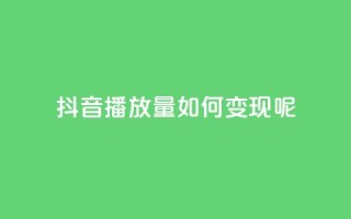 抖音播放量如何变现呢 - 抖音播放量如何实现盈利秘诀分享!