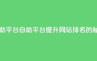 自助平台(自助平台:提升网站排名的秘籍)