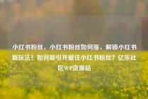 小红书粉丝,小红书粉丝如何涨,解锁小红书新玩法!如何吸引并留住小红书粉丝?亿乐社区SUP货源站