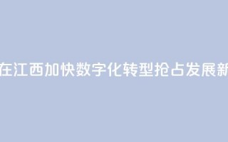 台商在江西:加快数字化转型 抢占发展新赛道