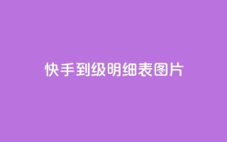 快手1到120级明细表图片 - 快手1到120级详细升级指南及成果展示!