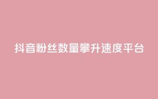 抖音粉丝数量攀升速度平台