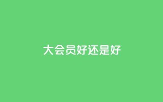 qq大会员好还是svip好,ks账号购买超便宜 - 抖音有效粉丝是怎么算的 - 抖音充值官方网址