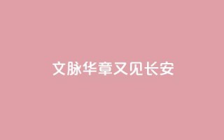 文脉华章|又见长安