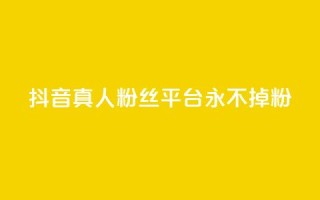 抖音真人粉丝平台 永不掉粉 - 增加社交影响力,稳定粉丝数量营销平台~