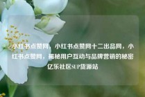 小红书点赞网,小红书点赞网十二出品网,小红书点赞网,揭秘用户互动与品牌营销的秘密亿乐社区SUP货源站