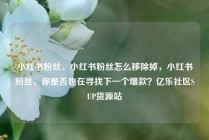 小红书粉丝,小红书粉丝怎么移除掉,小红书粉丝,你是否也在寻找下一个爆款?亿乐社区SUP货源站