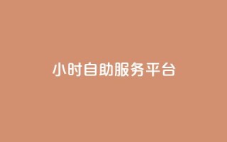 dy24小时自助服务平台 - 24小时在线自助服务平台dy,帮助您随时解决问题!