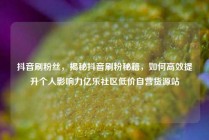 抖音刷粉丝，揭秘抖音刷粉秘籍，如何高效提升个人影响力亿乐社区低价自营货源站