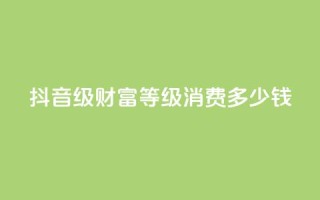 抖音24级财富等级消费多少钱 - 抖音财富等级24级消费金额是多少?!