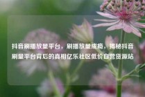 抖音刷播放量平台,刷播放量成瘾,揭秘抖音刷量平台背后的真相亿乐社区低价自营货源站