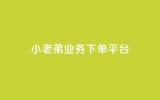 小老弟业务下单平台 - 小老弟业务一键下单平台全新上线!