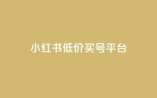小红书低价买号平台,点赞自助1元100赞 - 卡盟刷网课低价 - 在线刷QQ空间浏览