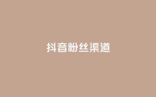 抖音粉丝渠道 - 抖音粉丝获取的途径有哪些?~