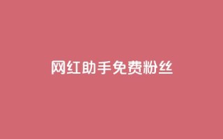 网红助手免费粉丝,小红书500粉购买 - douyingcom充值 - 粉丝是怎么涨起来的