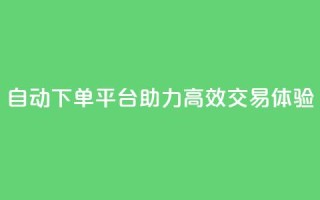 KS自动下单平台助力高效交易体验