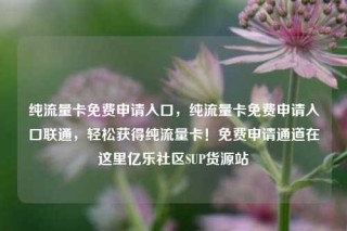纯流量卡免费申请入口，纯流量卡免费申请入口联通，轻松获得纯流量卡！免费申请通道在这里亿乐社区SUP货源站