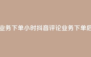 抖音评论业务下单24小时(抖音评论业务，下单后24小时见效)