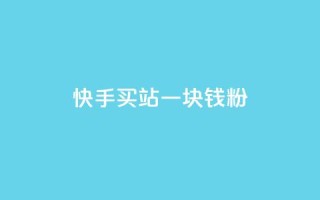快手买站一块钱1000粉 - 快手一元购站轻松获千粉丝的方法揭秘!