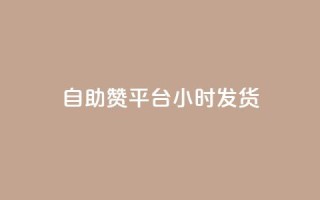 自助赞平台24小时发货,dy点赞24小时 - 抖音业务24小时免费下单 - ks刷收藏作品