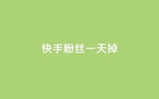 快手粉丝一天掉500 - 快手粉丝每天锐减500,成果靠SEO优化能挽回吗?!