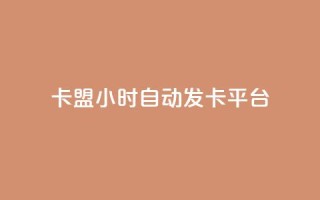cf卡盟24小时自动发卡平台 - 24小时自动发卡平台,畅享CF卡盟服务~