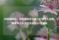 抖音刷粉丝,抖音刷粉丝攻略,打造个人品牌,快速吸引关注亿乐社区SUP货源站