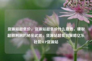 货源站超低价，货源站超低价什么意思，赚取超额利润的秘密武器，货源站超低价策略亿乐社区SUP货源站