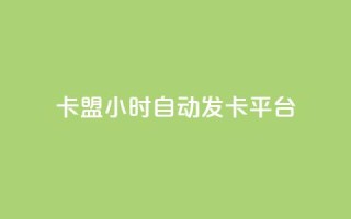 卡盟24小时自动发卡平台,QQ业务网24小时自助下单免费 - qq主页访客有记录吗 - 粉丝平台代理