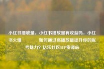 小红书播放量，小红书播放量有收益吗，小红书火爆🔥如何通过高播放量提升你的账号魅力？亿乐社区SUP货源站