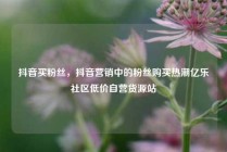 抖音买粉丝,抖音营销中的粉丝购买热潮亿乐社区低价自营货源站