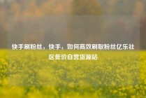 快手刷粉丝,快手,如何高效刷取粉丝亿乐社区低价自营货源站