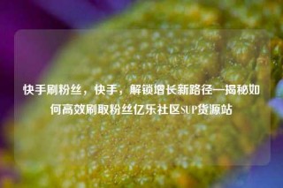 快手刷粉丝，快手，解锁增长新路径—揭秘如何高效刷取粉丝亿乐社区SUP货源站
