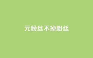 1元3000粉丝不掉粉丝,全网最低ks下单 - 快手自助业务网 - 快手点赞自动链接生成器免费