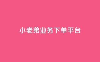 小老弟业务下单平台 - 小老弟,业务下单全新平台,一键轻松下单,方便高效,省时省力!~