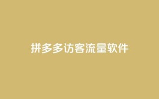 拼多多访客流量软件 - 拼多多流量增加神器,提升访客量~