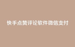 快手点赞评论软件微信支付 - 快手点赞评论软件支持微信支付!