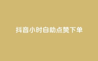 抖音24小时自助点赞下单 - 抖音全天自助点赞服务,轻松提升视频热度!。