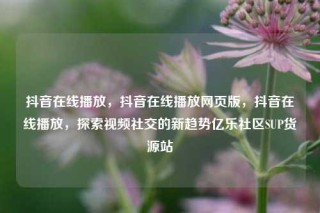 抖音在线播放，抖音在线播放网页版，抖音在线播放，探索视频社交的新趋势亿乐社区SUP货源站