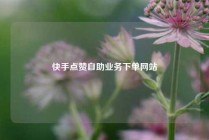 快手点赞自助业务下单网站