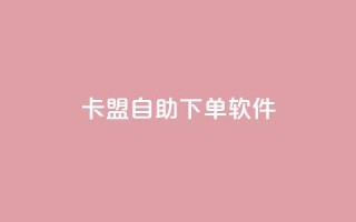 卡盟自助下单软件 - 提升业务效率!卡盟自助下单软件让您轻松逐梦~