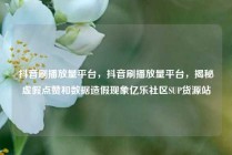 抖音刷播放量平台,抖音刷播放量平台,揭秘虚假点赞和数据造假现象亿乐社区SUP货源站