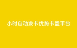 24小时自动发卡,优势pubg卡盟平台