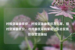 对接货源最低价，对接货源最低价怎么算，接对货源最低价，寻找最优采购策略亿乐社区低价自营货源站