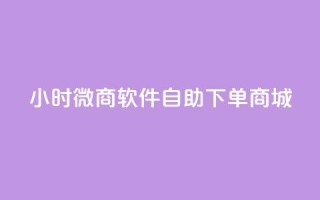 24小时微商软件自助下单商城 - 24小时自助下单微商商城软件推荐!