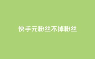 快手1元3000粉丝不掉粉丝 - 快手粉丝增长神器,1元即可获得3000真实粉丝,持久稳定!~