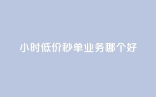 24小时低价秒单业务哪个好 - 24小时低价秒单服务哪家最靠谱!